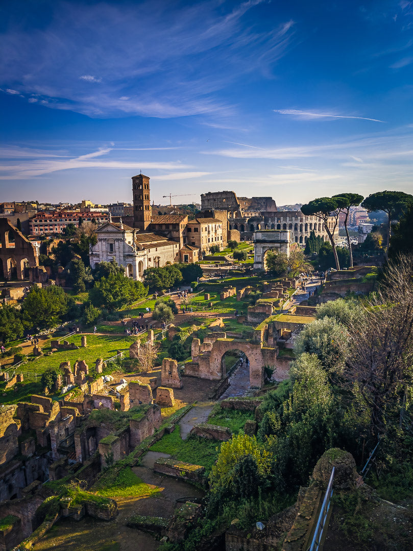 Portrait of the Roman Forum image 0