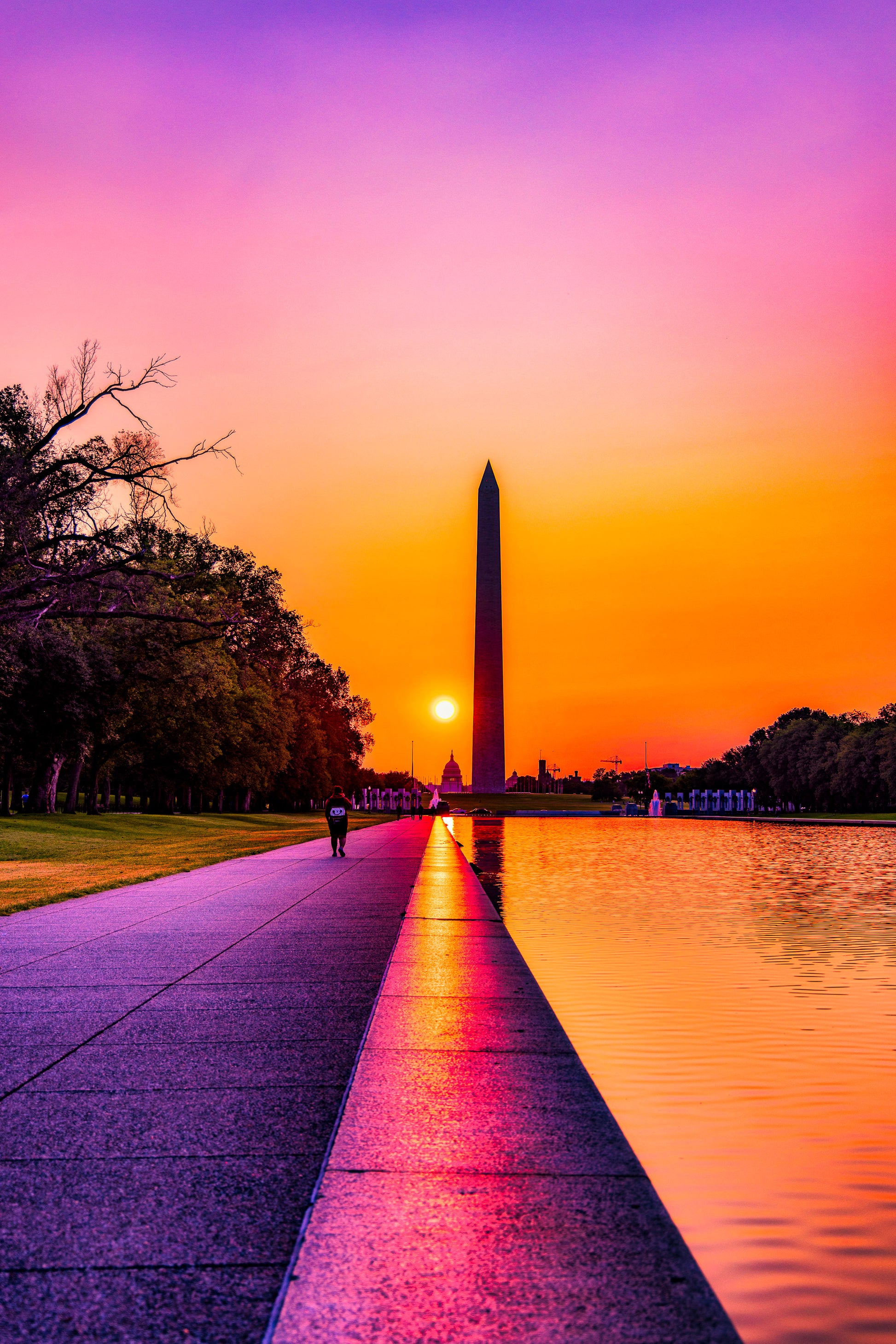 Morning Stroll by the Reflecting Pool image 0