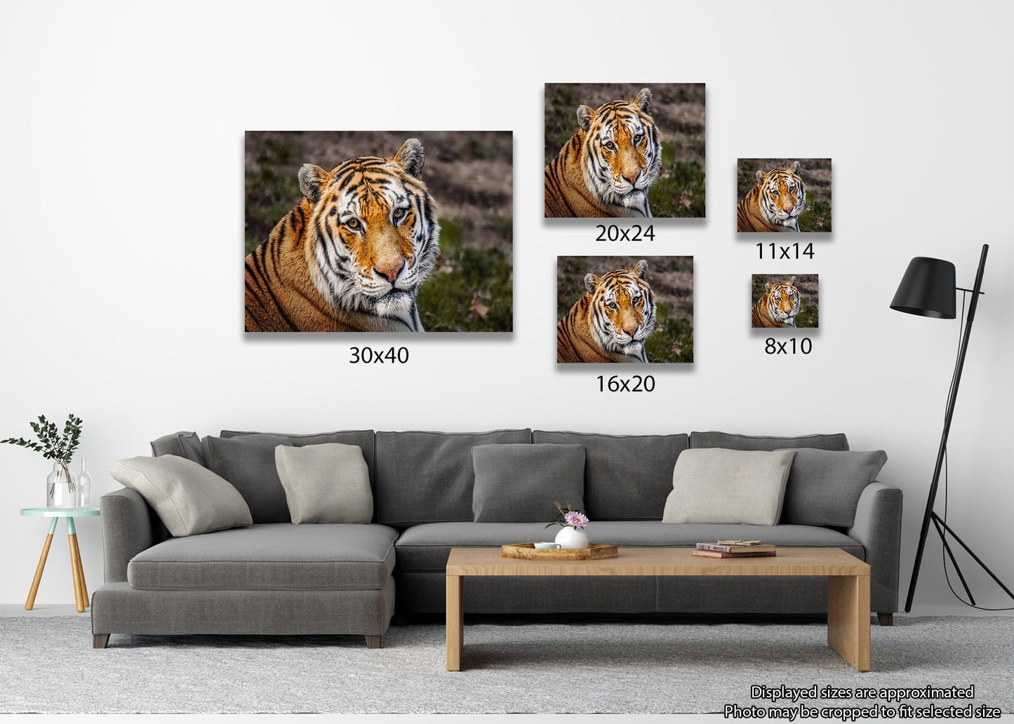 Eyes of the Tiger