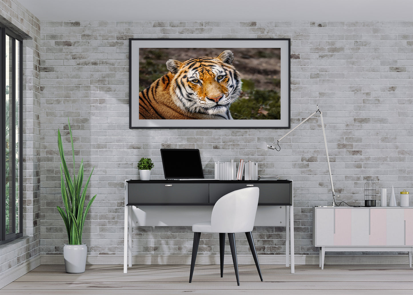 Eyes of the Tiger