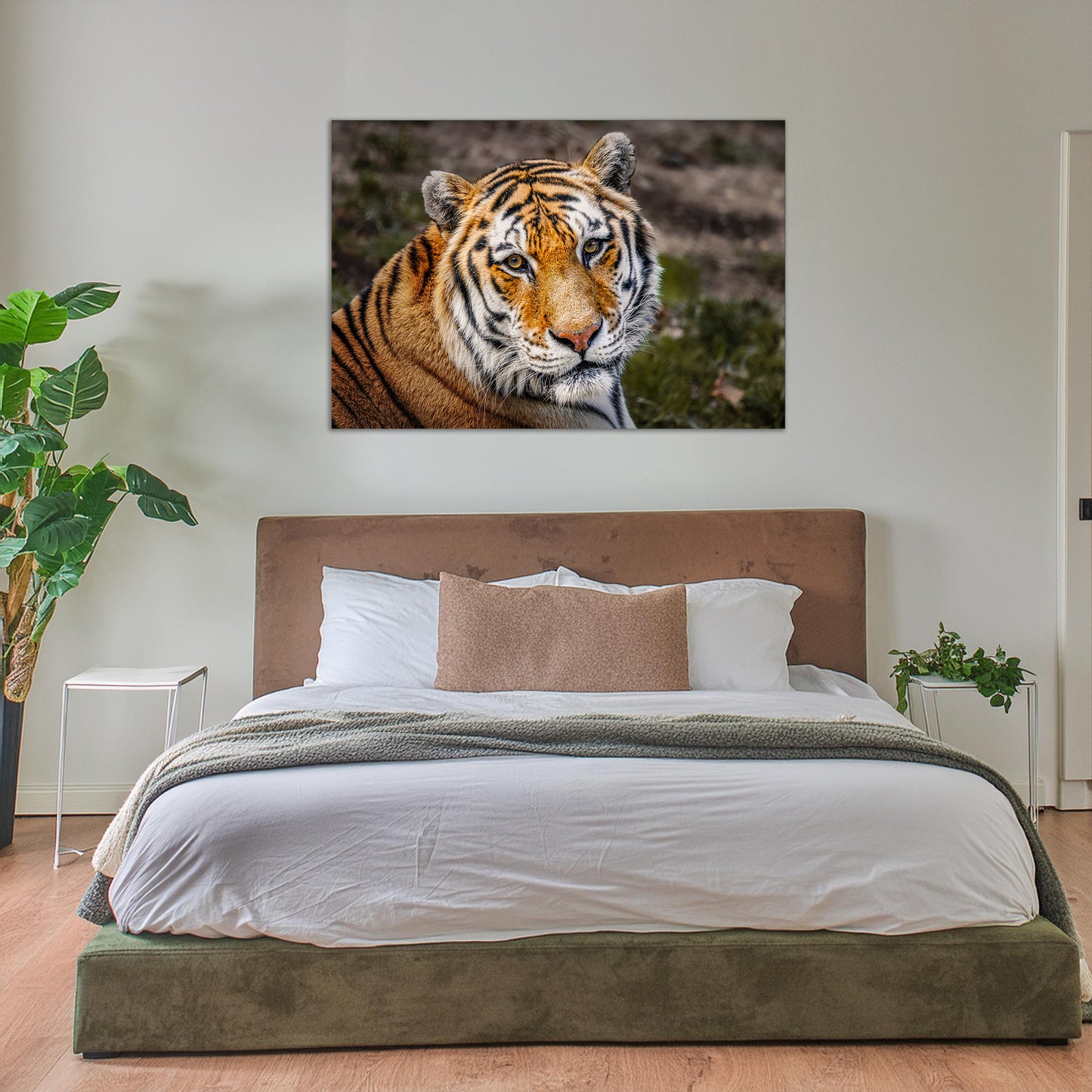 Eyes of the Tiger
