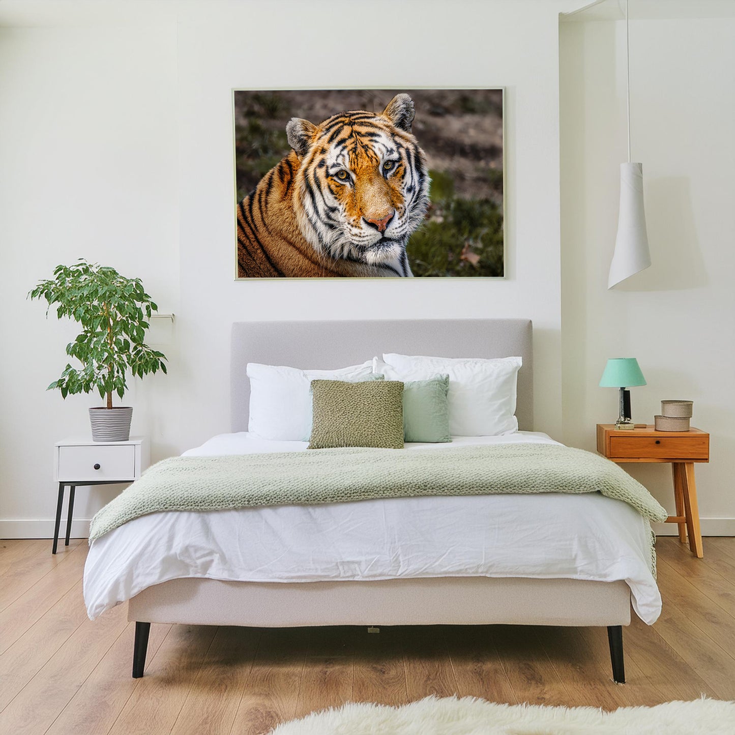 Eyes of the Tiger