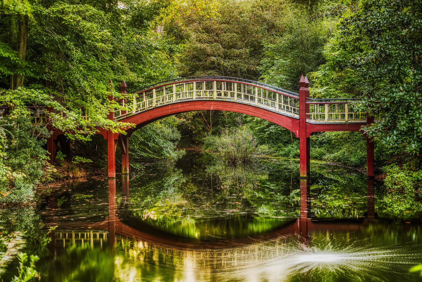 Crim Dell Reflections image 0
