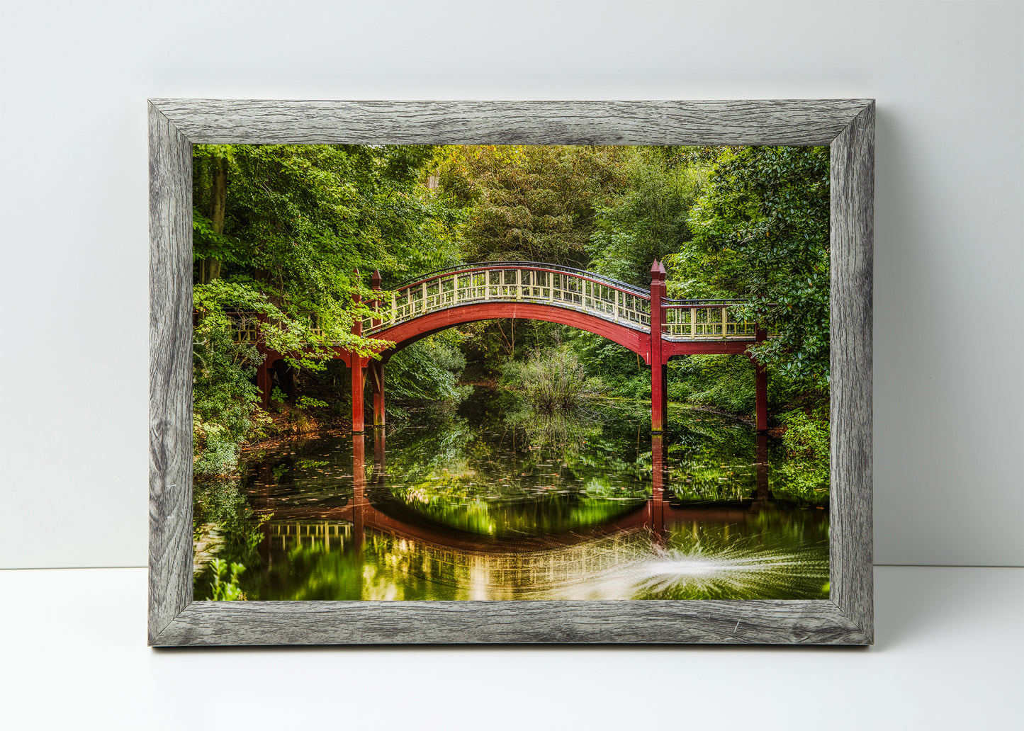 Crim Dell Reflections