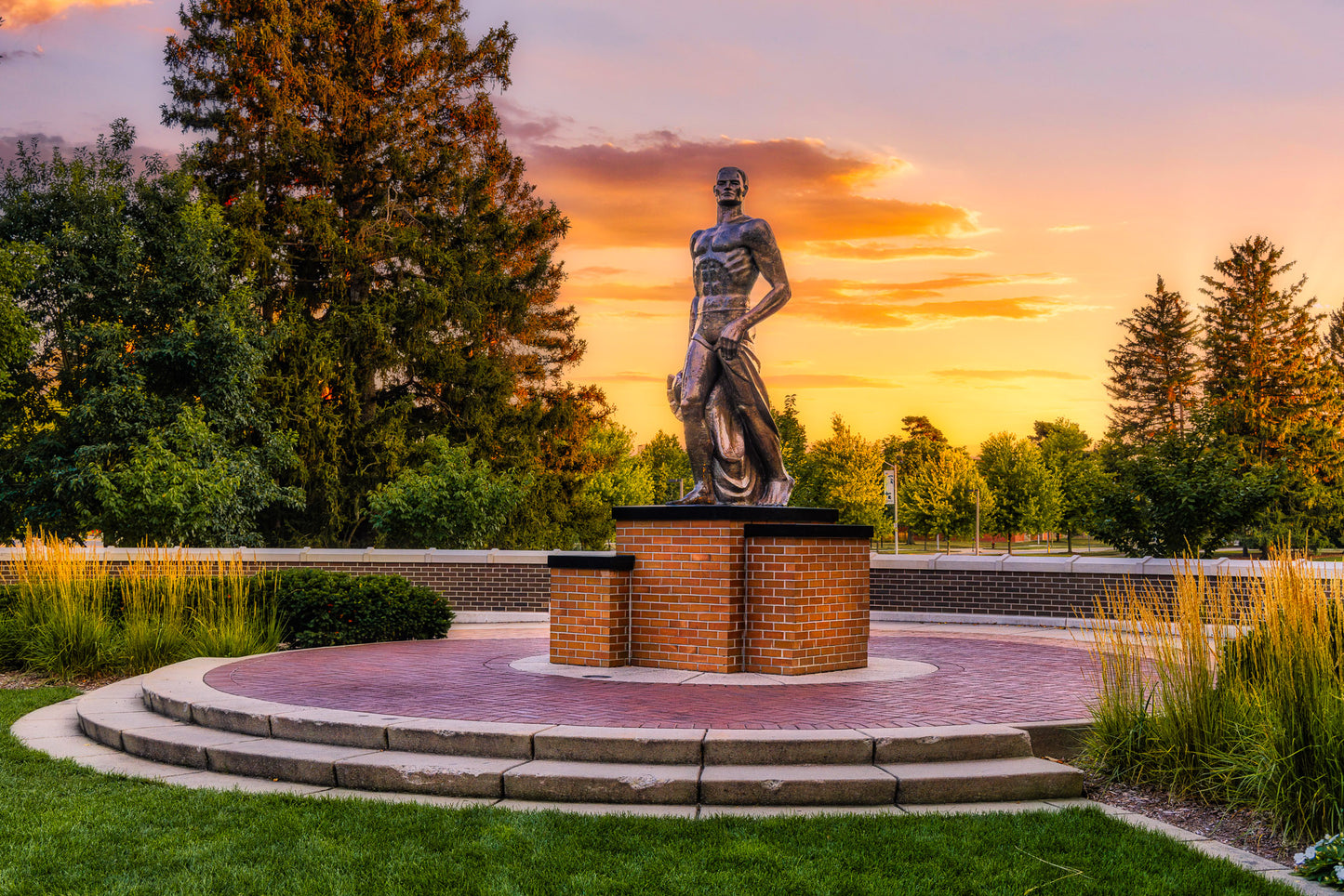 Spartan at Sunset image 0