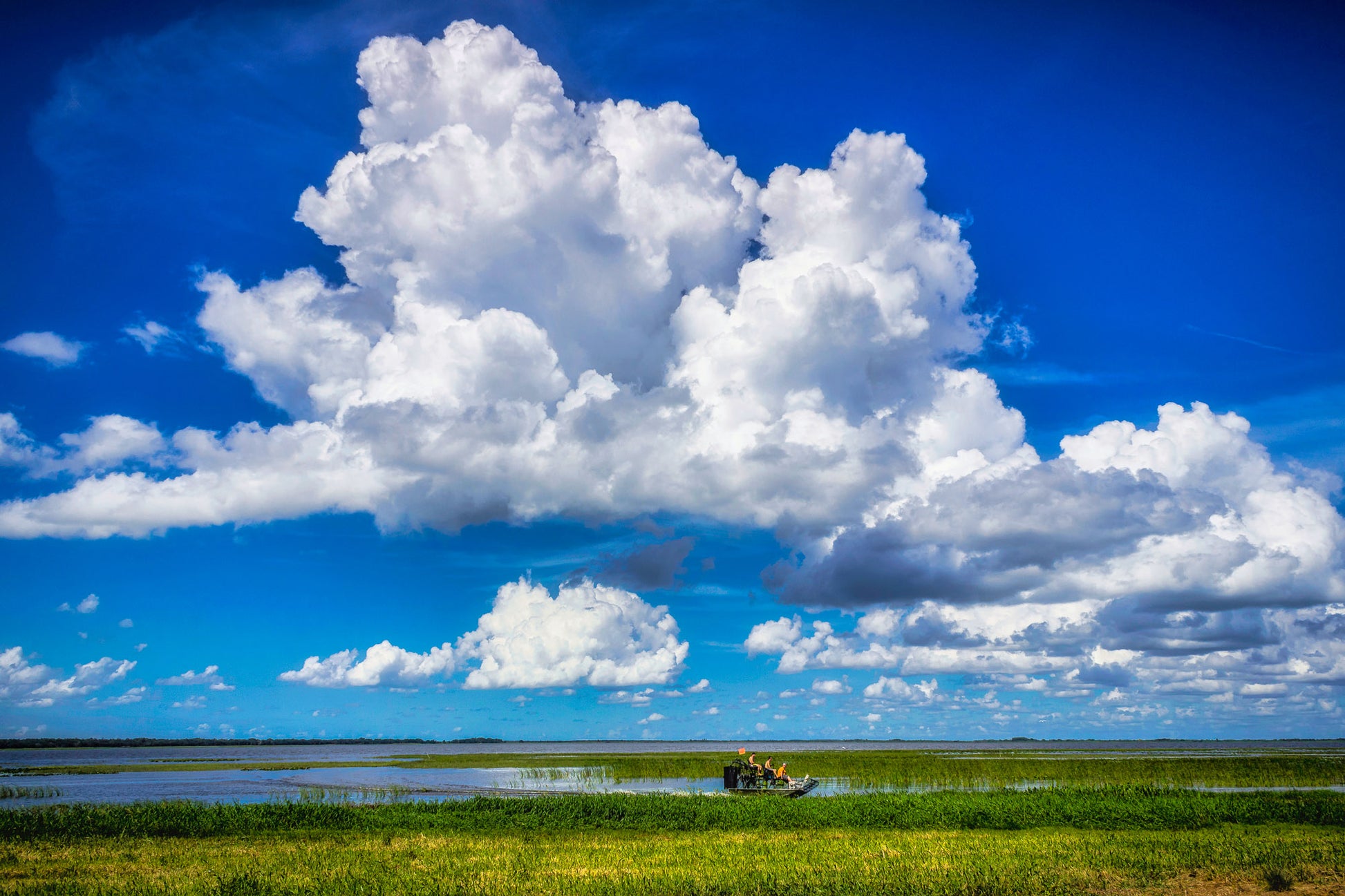 Escaping the Mouse image 0