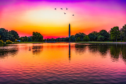 Sunrise over Constitution Gardens image 0