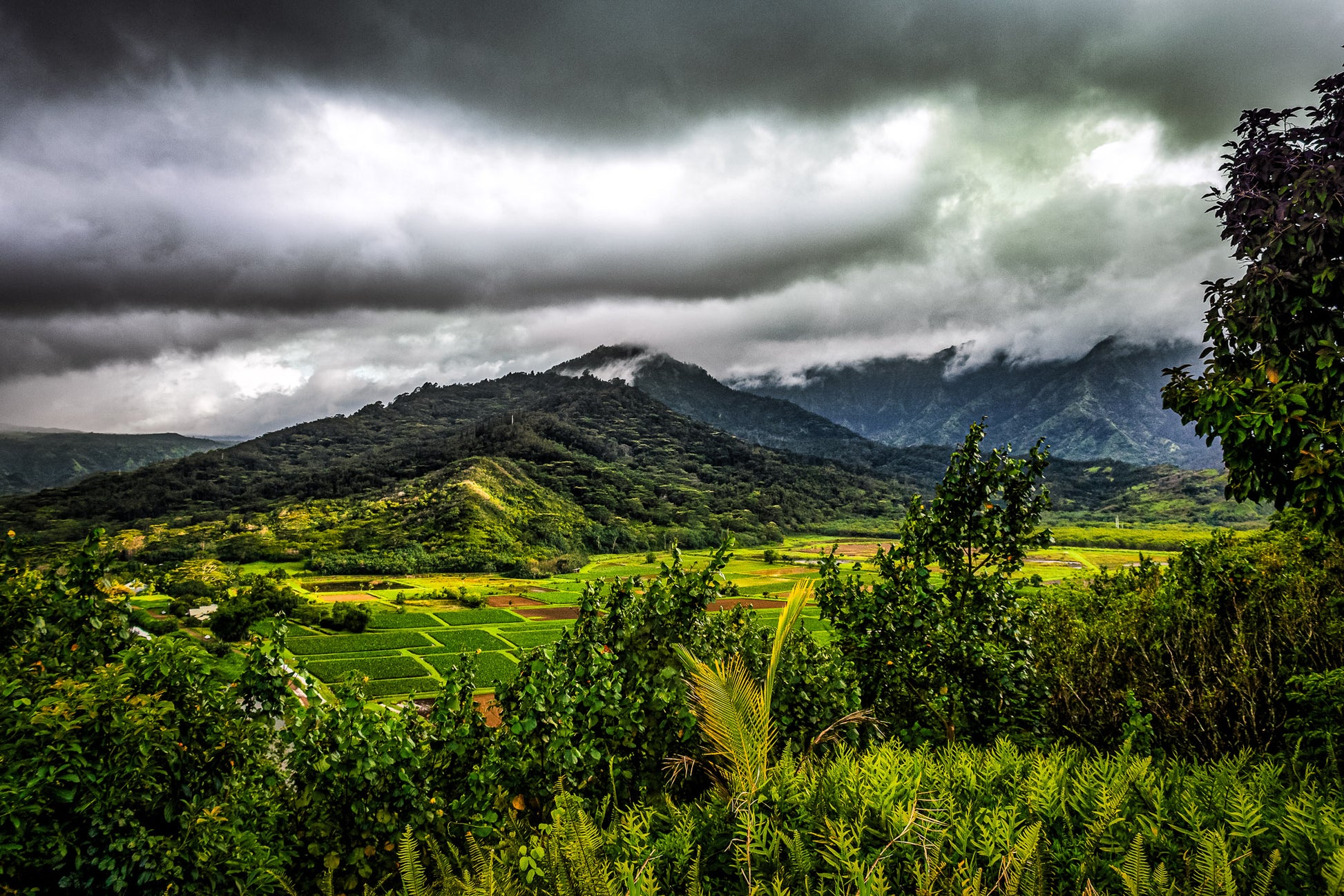 Clouds over Hawaiian Plantation image 0